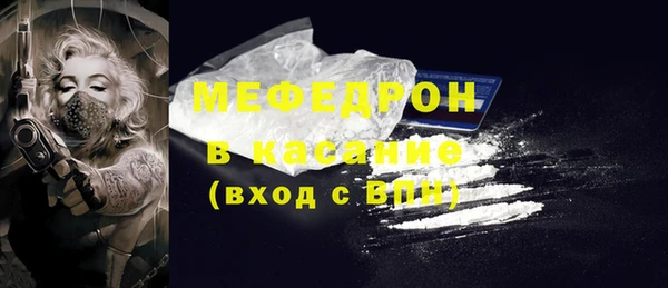 мдпв Богородицк
