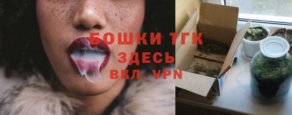 мдпв Богородицк