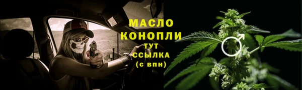 СК Богородск