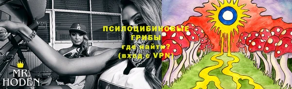 СК Богородск