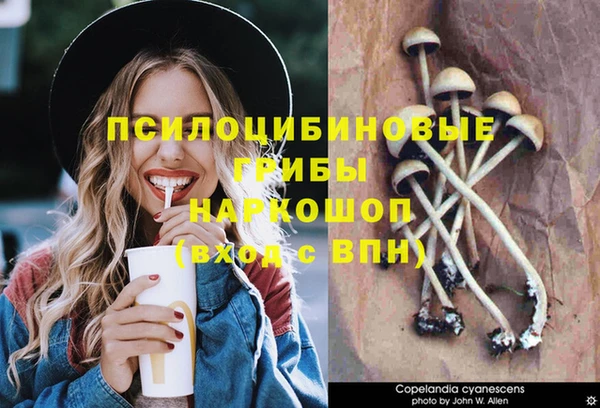 мдпв Богородицк