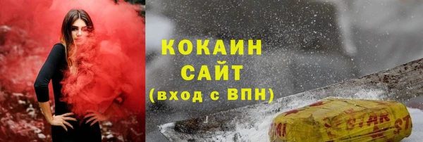 СК Богородск