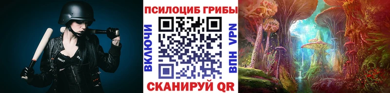 Купить  Верхнеуральск  Галлюциногенные грибы Cubensis 