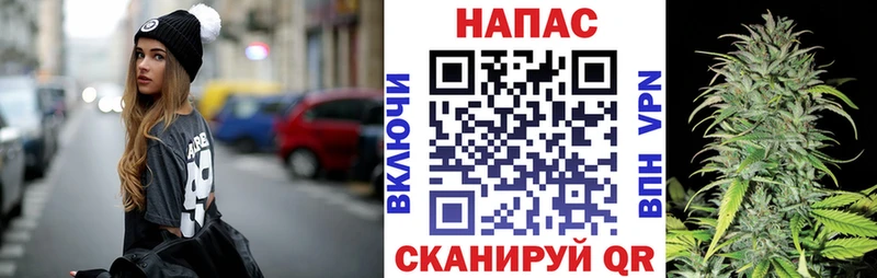 Шишки марихуана MAZAR  Купить где  Верхнеуральск 